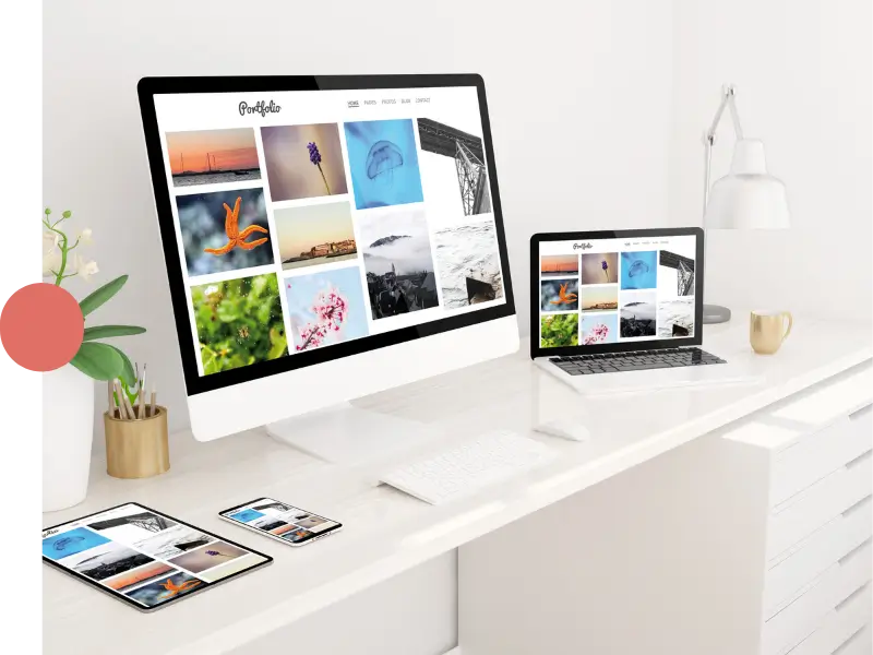 Trier ses photos - Bree Van de Cool Home Organiser