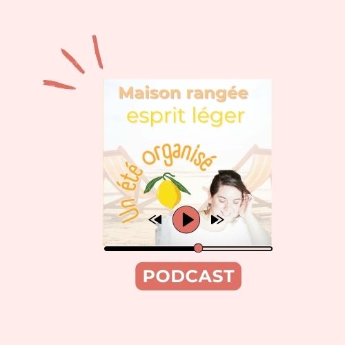 presse podcast - Bree Van de Cool Home Organiser