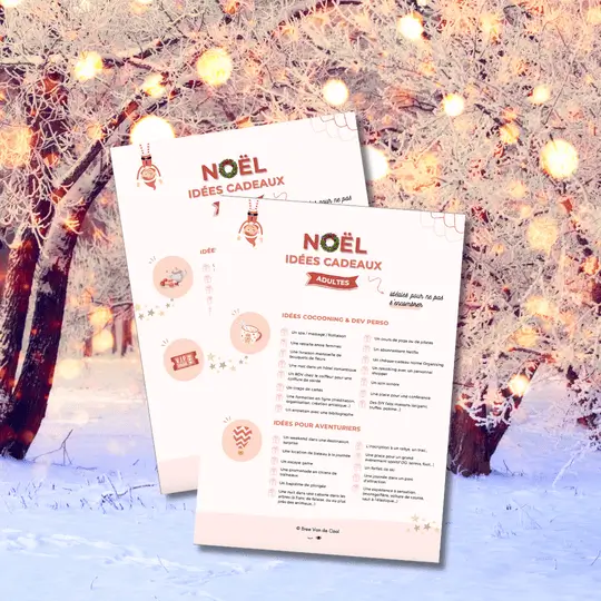 Cadeaux noel - Bree Van de Cool Home organsier