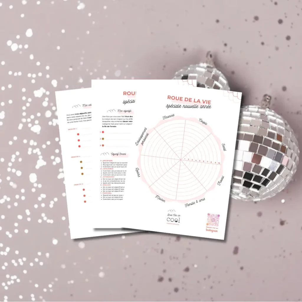 objectifs année - Bree Van de Cool Home organiser